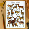 Alexia Claire | Deers of Britain | Postcard | Conscious Craft